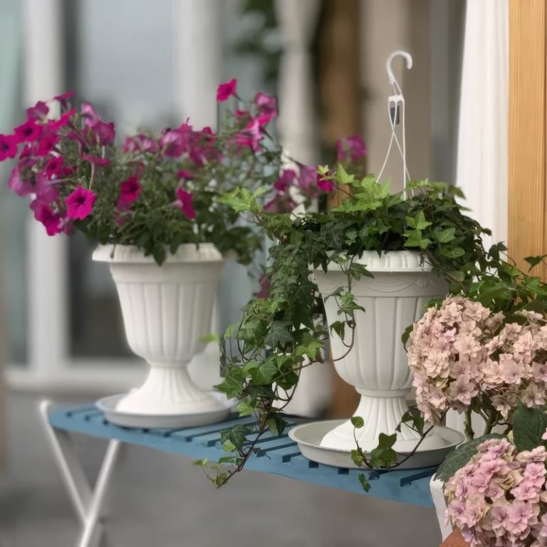 Sitemapcdatahttpsfedykniqoocomvase Medicis Jardilandnull